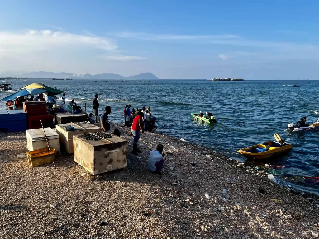 Visiting Semporna: What to Know Before You Dive or Transit 2 Semporna's fish market, surrounded by trash, sees fresh catches being delivered to the sandy shore
