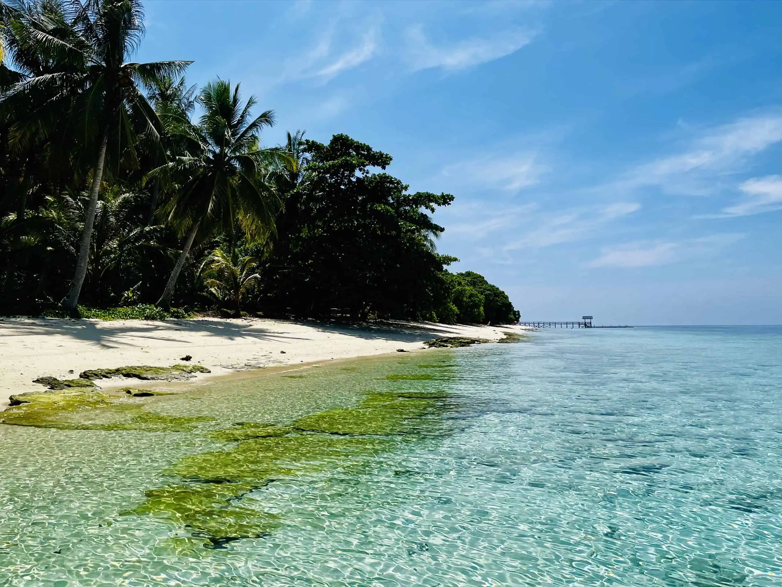 Tauchen in Semporna: Highlights, Unterwasserwelt & Tipps 8 Aussicht auf den Strand von der Insel Mataking.