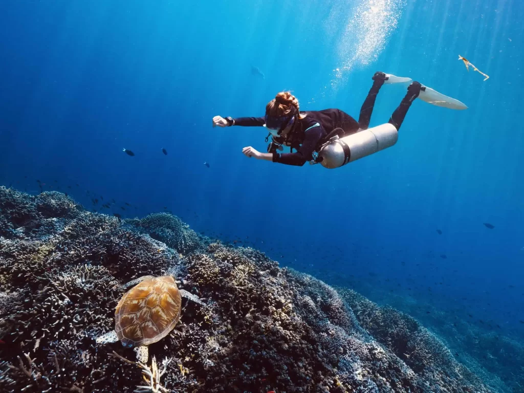 Diving Sipadan: A Complete Guide to Malaysia’s Top Dive Destination 15 Doris diving in Sipadan watching a turtle chilling on top of coral