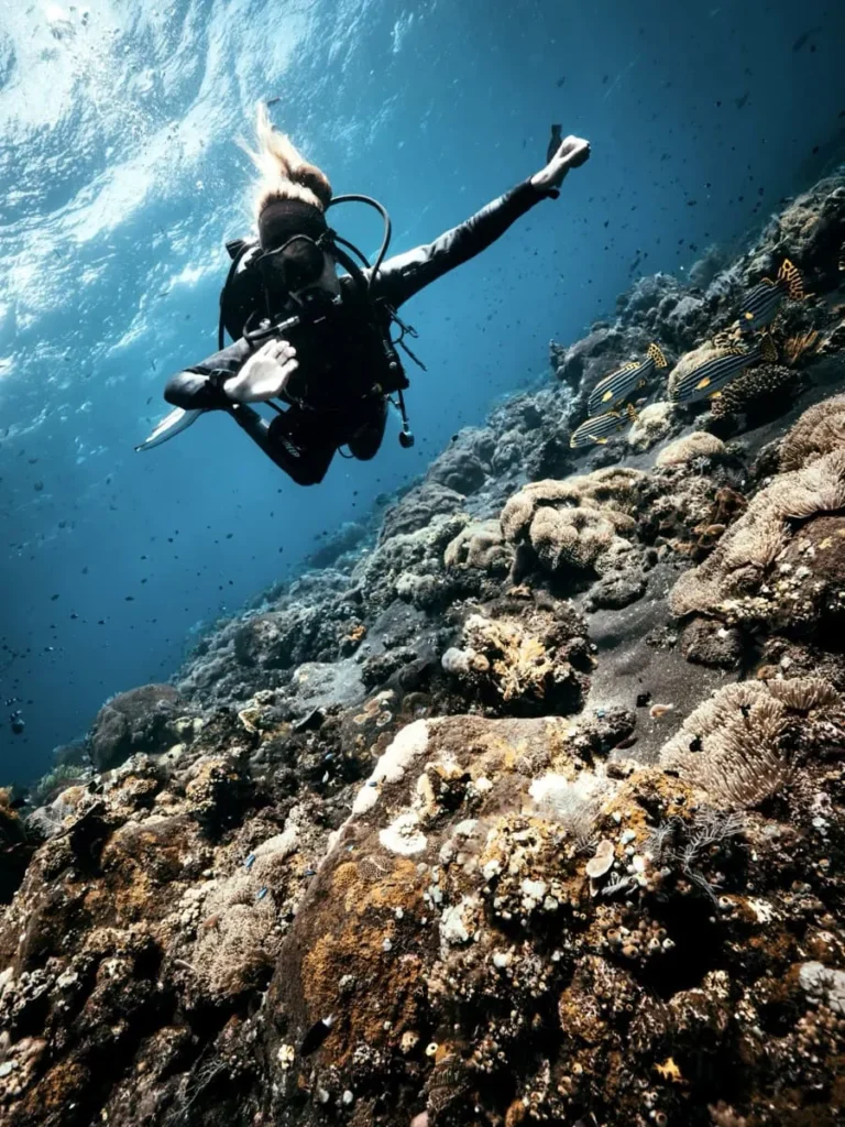 Tulamben Diving Guide: Everything you need to know 5 A diver swims above a vibrant coral reef in Tulamben, one of the best places for diving in Bali. The reef is filled with yellow sea fans and various hard corals.