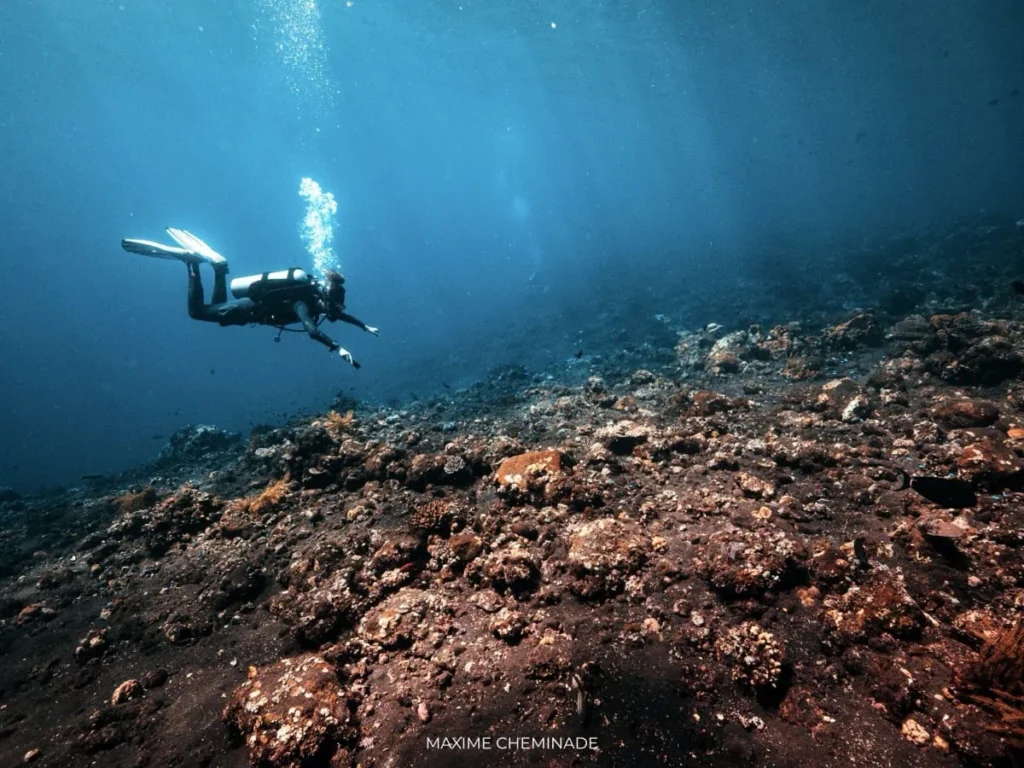 Tulamben Diving Guide: Everything you need to know 7 A scuba diver illuminates marine life on black sand during a macro dive in Tulamben, focusing on tiny sea creatures and encrusted statues.