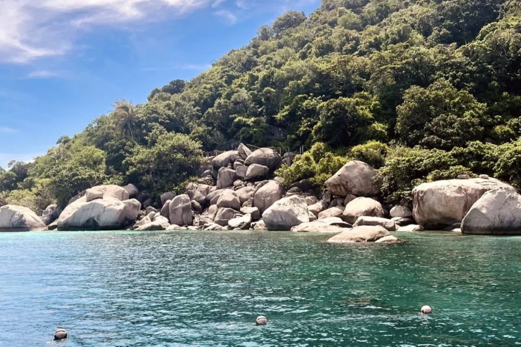 Schnorcheln auf Koh Tao: 7 Spots, die sich wirklich lohnen 11 Blick auf die felsige Küste von Japanese Gardens mit grünem Dschungel und ruhigem Meer. Das Wasser ist klar und leicht türkisfarben.