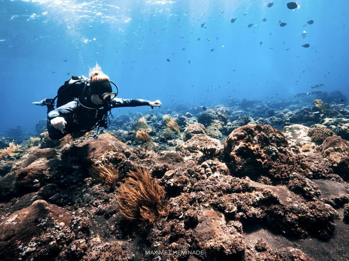 Tulamben Diving Guide: Everything you need to know 1 Doris diving in Tulamben, exploring one of the best macro dive sites in the area. Brown corals and soft underwater plants fill the rocky reef.