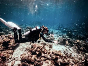 Diving in Semporna: Where to Dive Without a Sipadan Permit