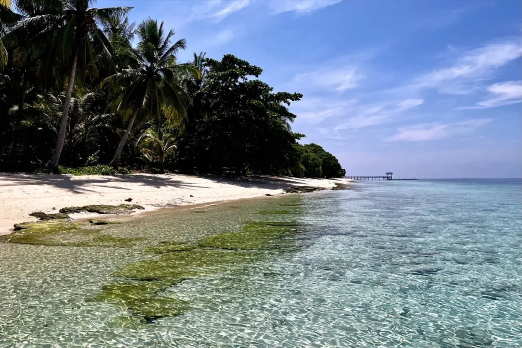 Tropical beach on Mataking Island with palm trees, white sand, and shallow clear water along the shoreline. The calm sea and reef flats highlight the remote island setting.