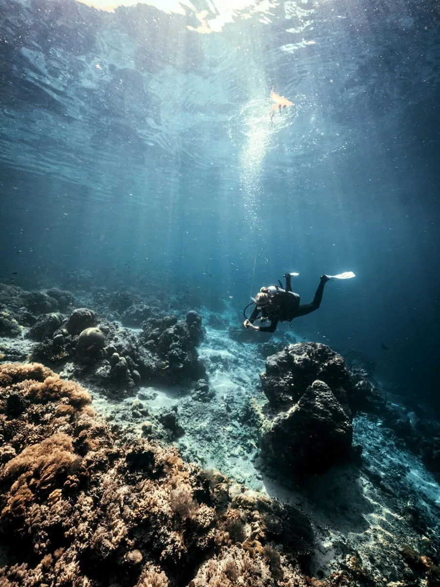 Sipadan Dive Sites: Which Ones Are Worth Your Permit? 2 Scuba diver gliding above coral formations and sandy patches at Barracuda Point in Sipadan. Sunbeams shine through clear water illuminating the reef.