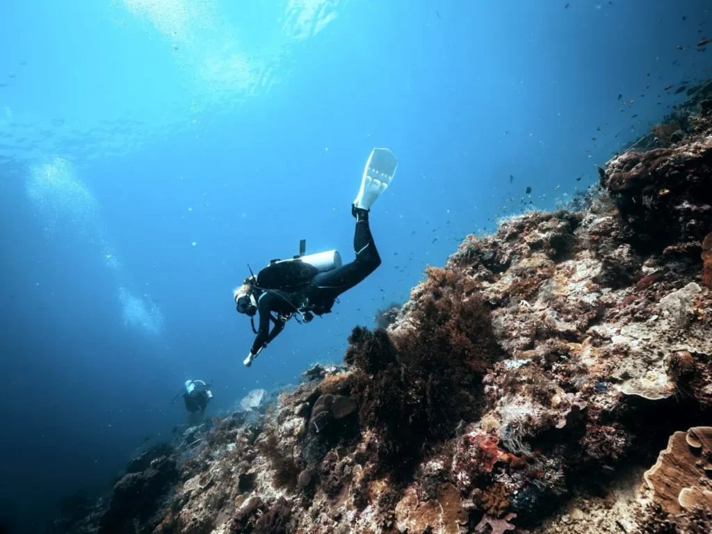 Two scuba divers swimming above a coral reef wall surrounded by small fish during diving in Sipadan. The reef slopes down into deep blue water typical of Sipadan dive sites.
