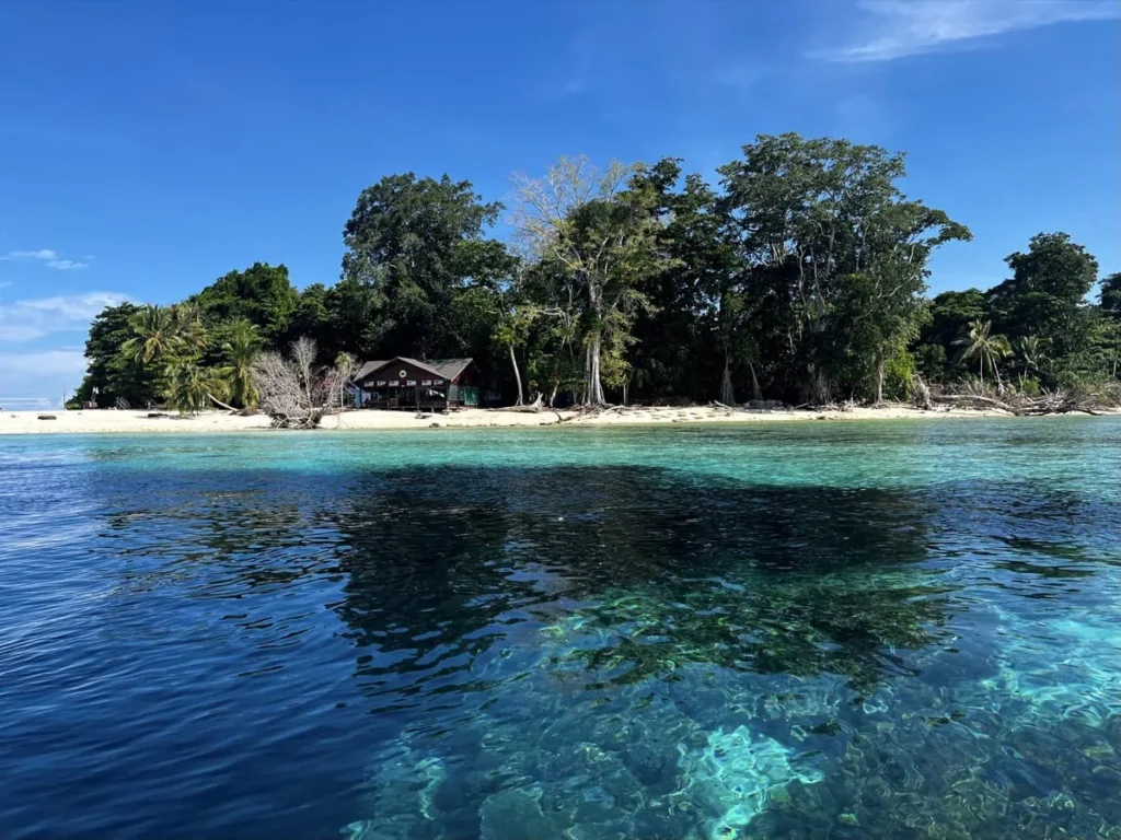 Sipadan Dive Sites: Which Ones Are Worth Your Permit? 7 Sipadan Island viewed from the water with white sand beach and tropical trees along the shoreline. Clear turquoise water surrounds the island where many famous dive sites are located.