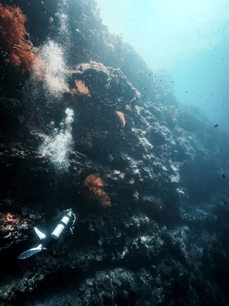 Scuba diver descending along a steep coral wall covered in sponges and reef life at a Sipadan dive site. Sunlight filters down from the surface highlighting the dramatic drop off.