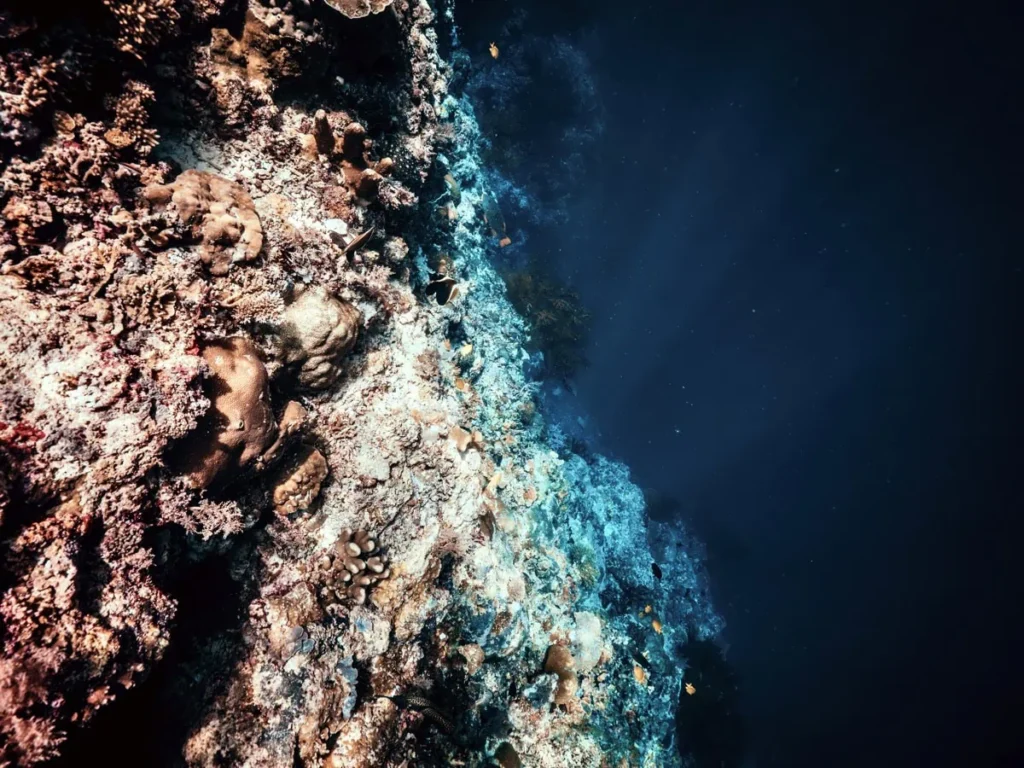 How to Get a Sipadan Permit (2026 Guide) 8 Colorful coral reef edge in Sipadan dropping sharply into the deep open ocean highlighting the dramatic underwater terrain divers come to experience.