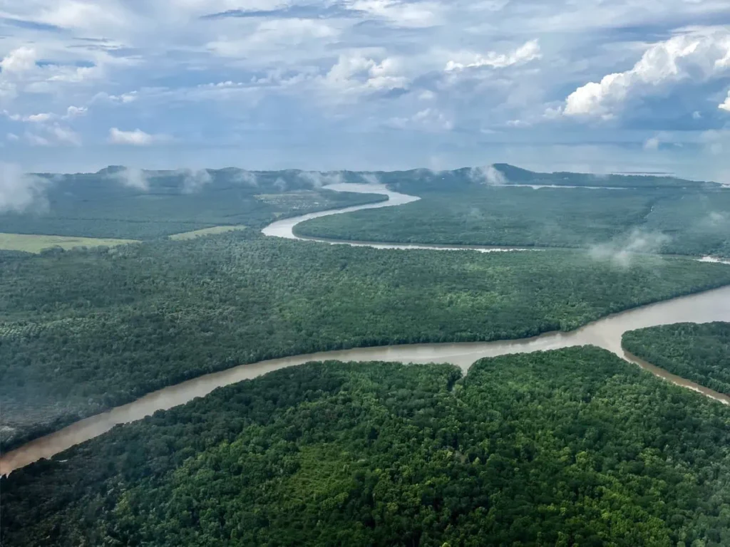 Aerial view of a winding river cutting through dense green rainforest in Borneo under a cloudy sky as seen while flying toward Sipadan.